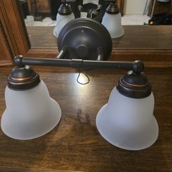 Hampton Bay Vanity Fixture