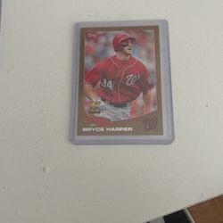 Bryce Harper Rookie Card