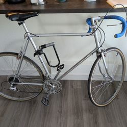 Nishiki Olympic 12 - Steel Frame Bike