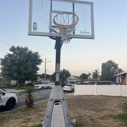 FREE Basketball Hoop Adjustable 