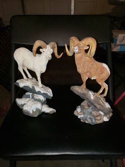 2 Rams, 3 Wolves