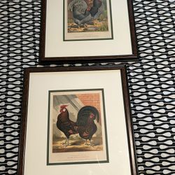 PR Of Poultry Bird Litho Prints Framed