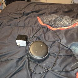 It's alexa voice box