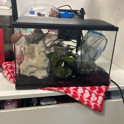 Fish Tank Kit