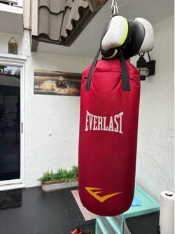 Punching bag and gloves