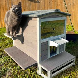 Cat House 