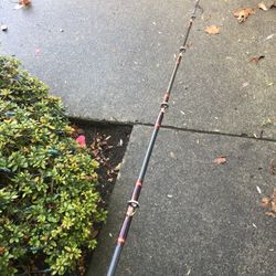 Custom Fishing Rod