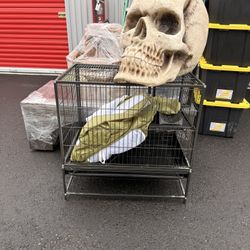 Giant skull