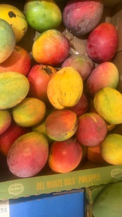 🥭 Weekend Mango Sale! 🥭  Freshly picked this morning!