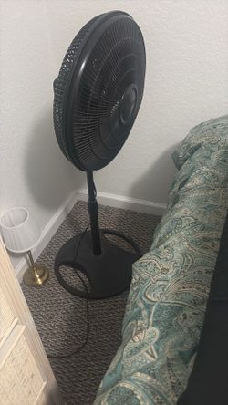 Fan