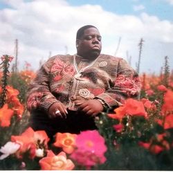 Notorious B.I.G Biggie Small Decal Vinyl