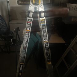 Little Giant 22ft fold up ladder