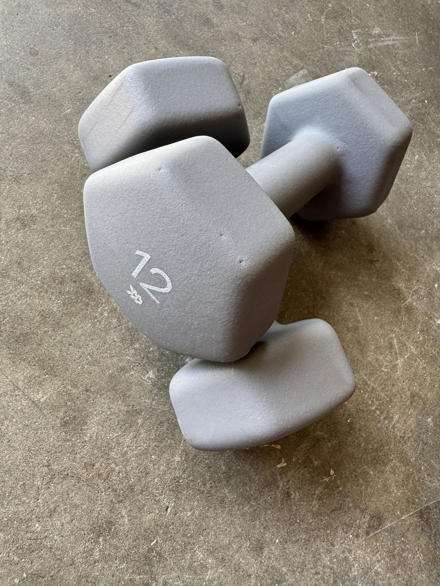 12 Pound Weights