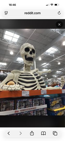 Large skeleton