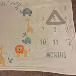 Baby Monthly Milestone