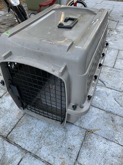 Dog Create/Carrier 