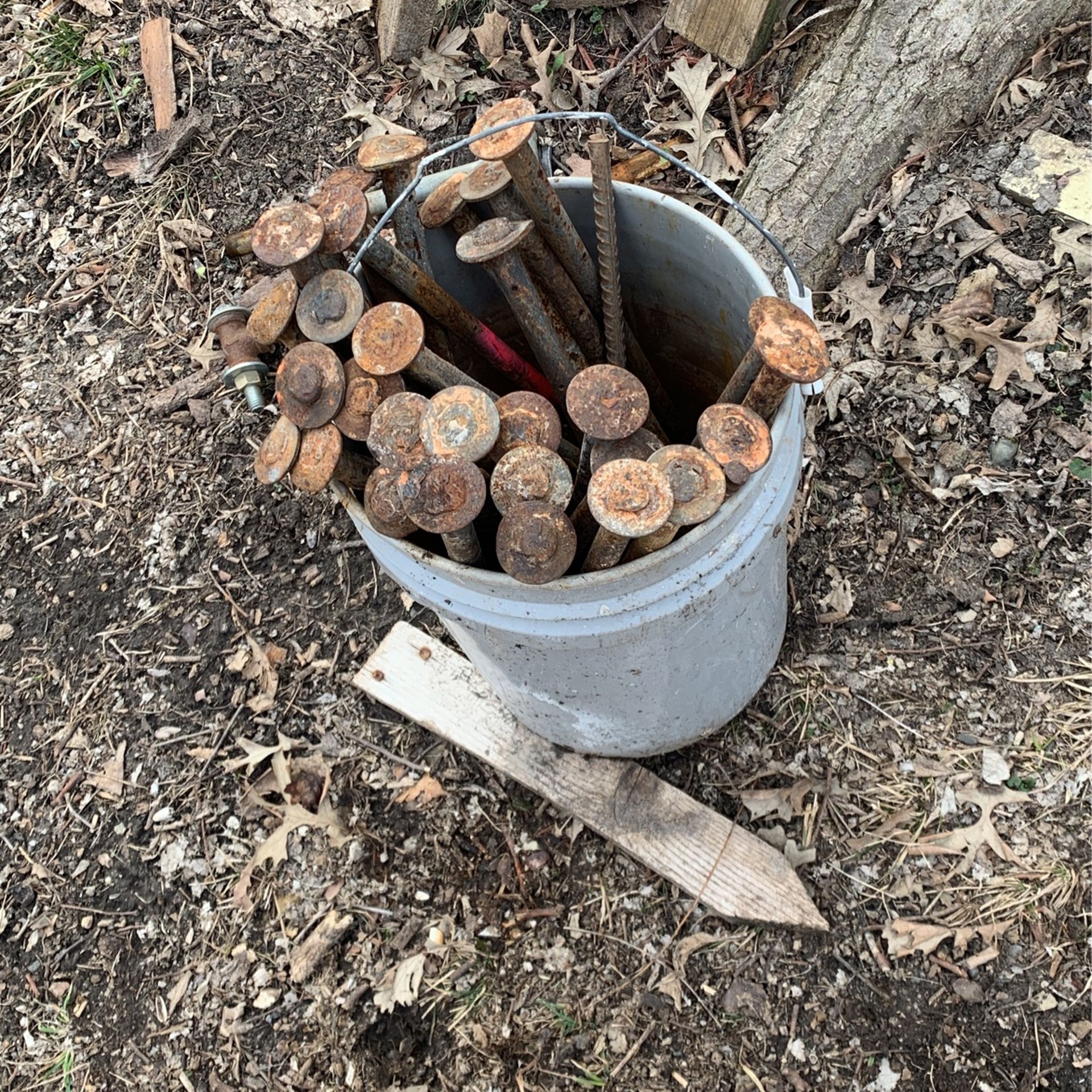 Tent Stakes