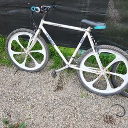 Antelope Trek Bike