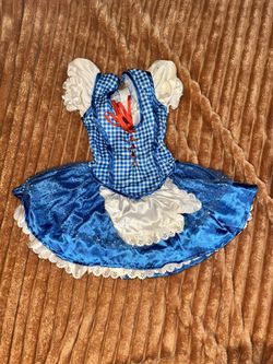 Small Child’s Dorothy Costume