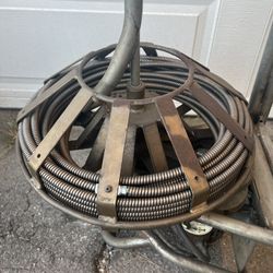 Gorlitz Snake 
