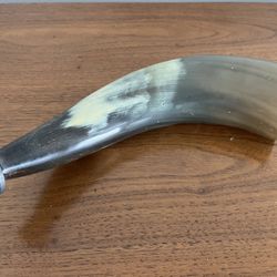 Polished antler horn