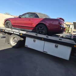 07 Mustang Red Leathers Top Works