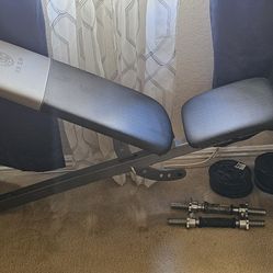 Workout Bench With Weights