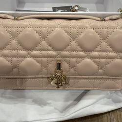 Dior Bag 