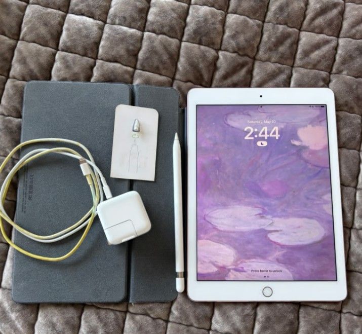Apple iPad Pro 9.7in Rose Gold 256gb READ DESCRIPTION
