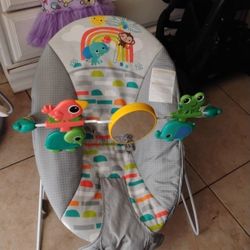Baby Bouncer 