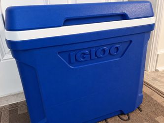 Igloo Profile 16 Qt Hard-Sided Cooler featuring a bright blue body and a contrasting white lid.