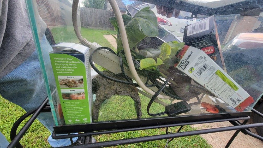 10 Gallon Tank, Stand And Decor