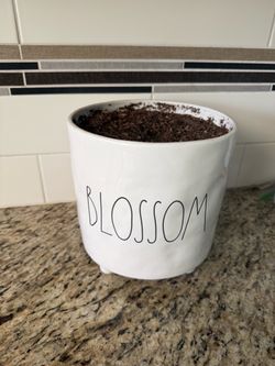 Rae Dunn Blossom Pot