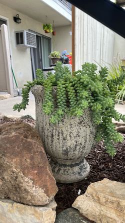 Planters