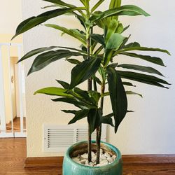 Nearly Natural Dracaena Silk Plant