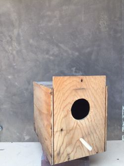 Bird breeding box