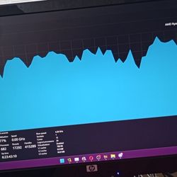 HP Monitor 