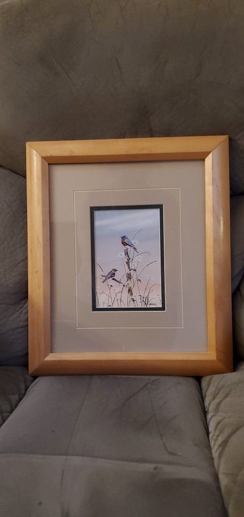 "Bluebirds & Daisies" Small Framed Print By Robert Pence