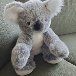 Australian KOALA 