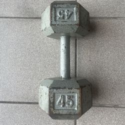 Single 45lbs Hex Dumbbell 