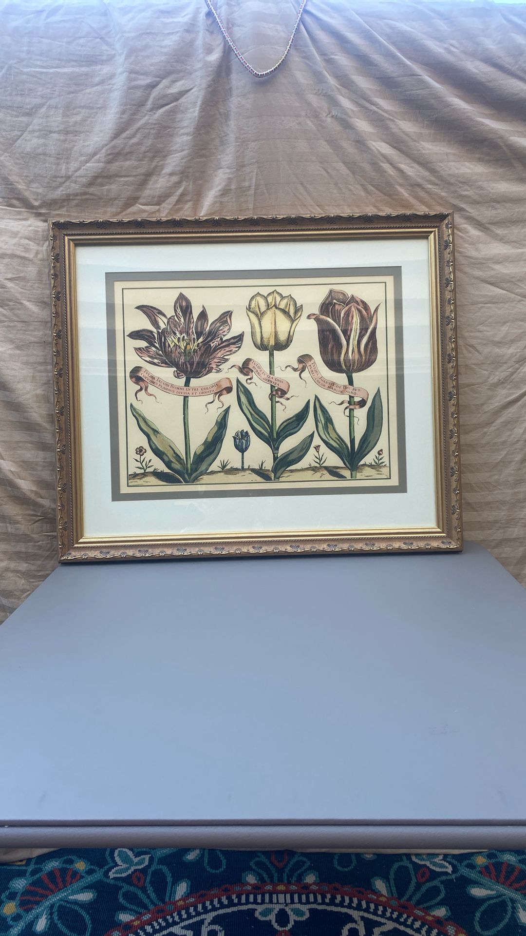 Antique Botanical Tulips Art