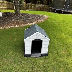 Dog Outdoor House