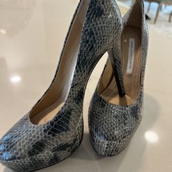 Size 6.5