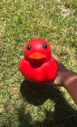 Squishy DUCK