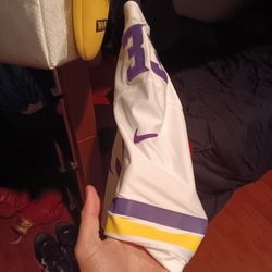 Dalvin Cook NFL Authentic Jersey-Nike-Stiched