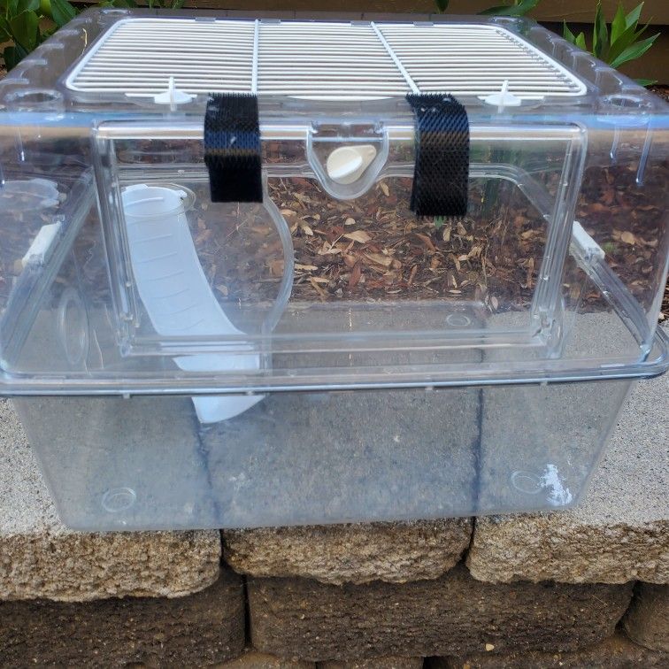 Dwarf Hamster Cage Clear With 2nd Floor And Slide