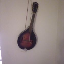 Harmony Mandolin