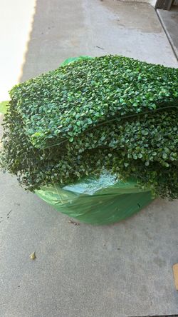 Bag of greenery