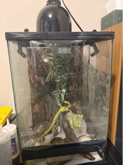 Created gecko cage