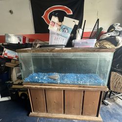 Fish Tank & Stand